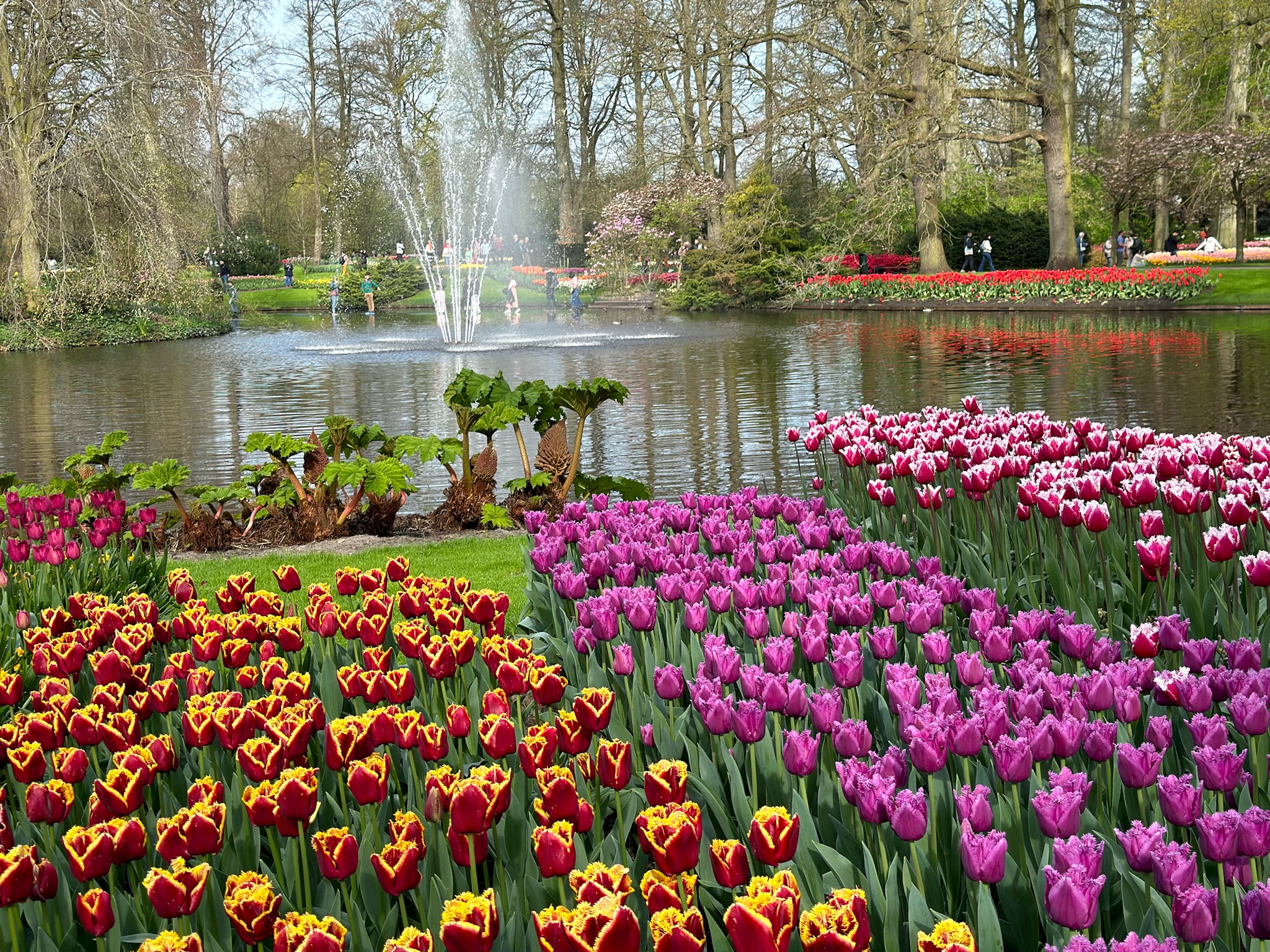 Keukenhof Gardens
