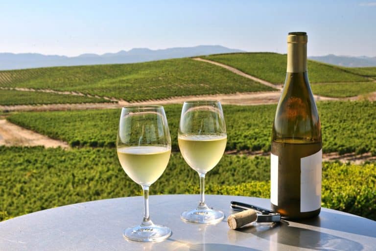 Rhine Valley Wine Tour